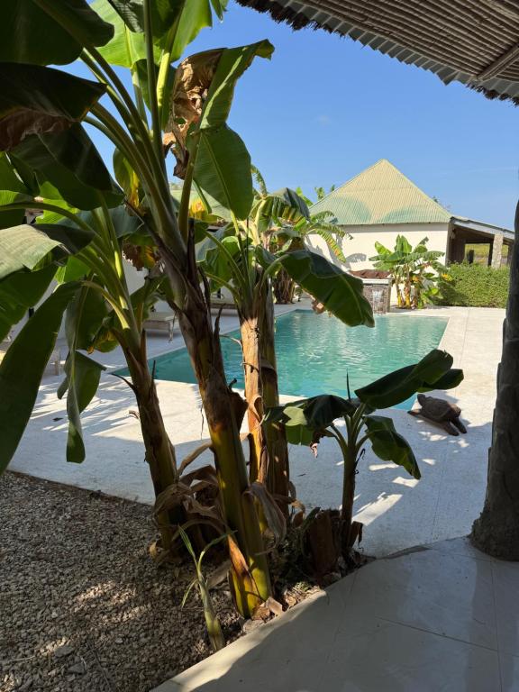 a couple of trees in front of a pool at Toubakouta River Paradise in Toubakouta