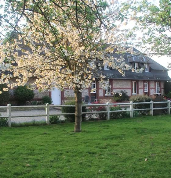 a tree in a yard in front of a house at Studio à la Ferme in Limpiville