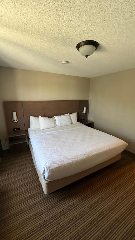 Country Inn & Suites by Radisson, Mason City, IA - Suite Met Kingsize Bed En Slaapbank - Niet-Rokers