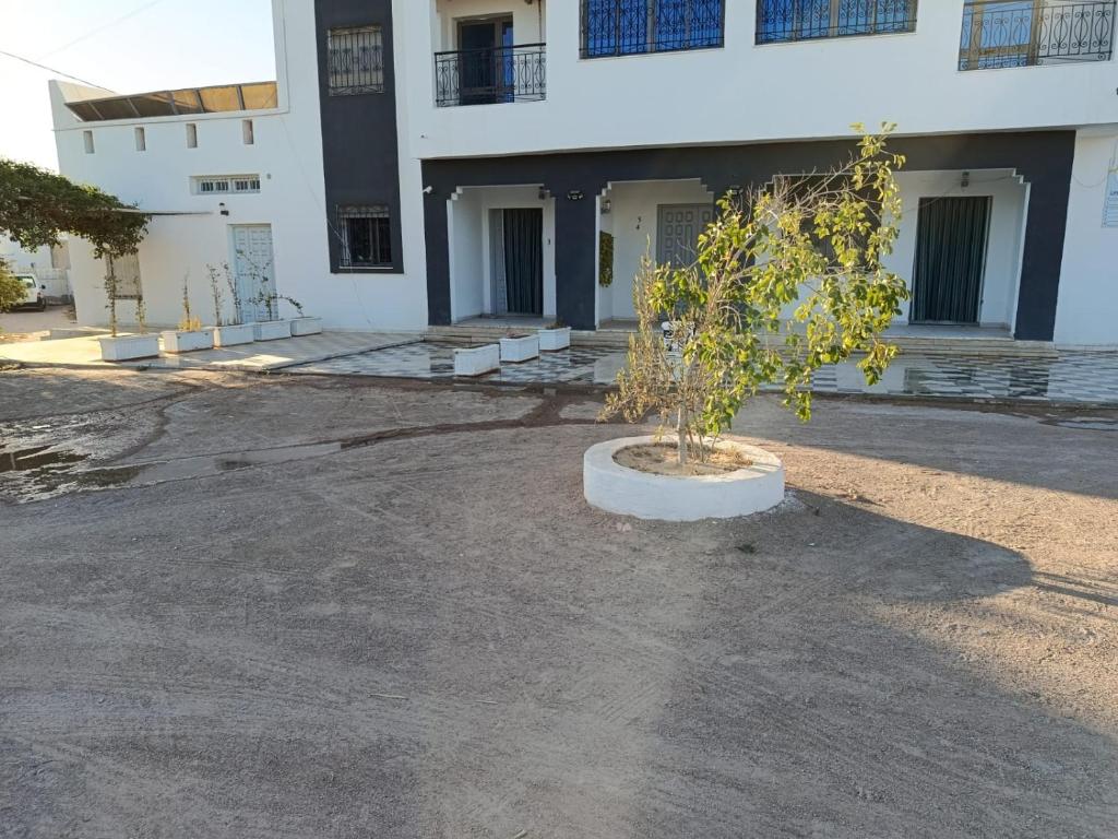a tree in a pot in front of a building at appart CRISTIANA 3 Midoun in Midoun