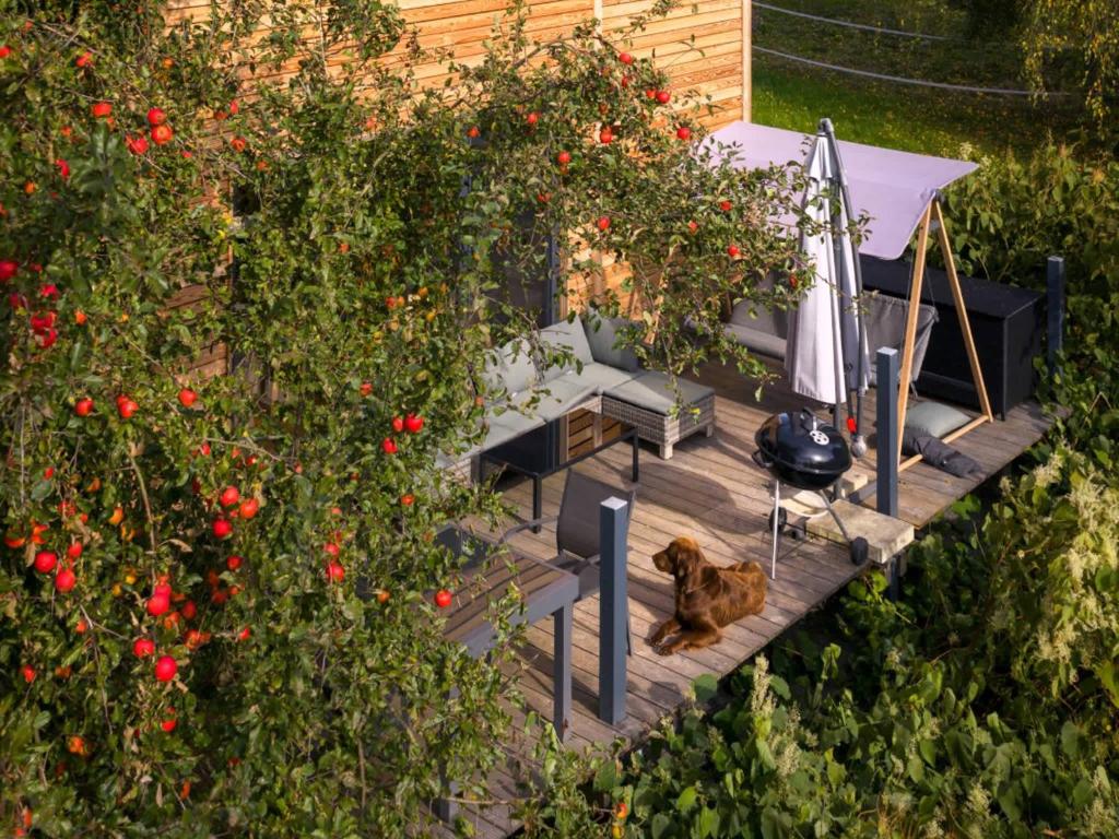 Galeriebild der Unterkunft Tiny House mit Kaminofen & Terrasse direkt an Naturteichen - bis 5 Personen - Für Kurzentschlossene in Großharthau