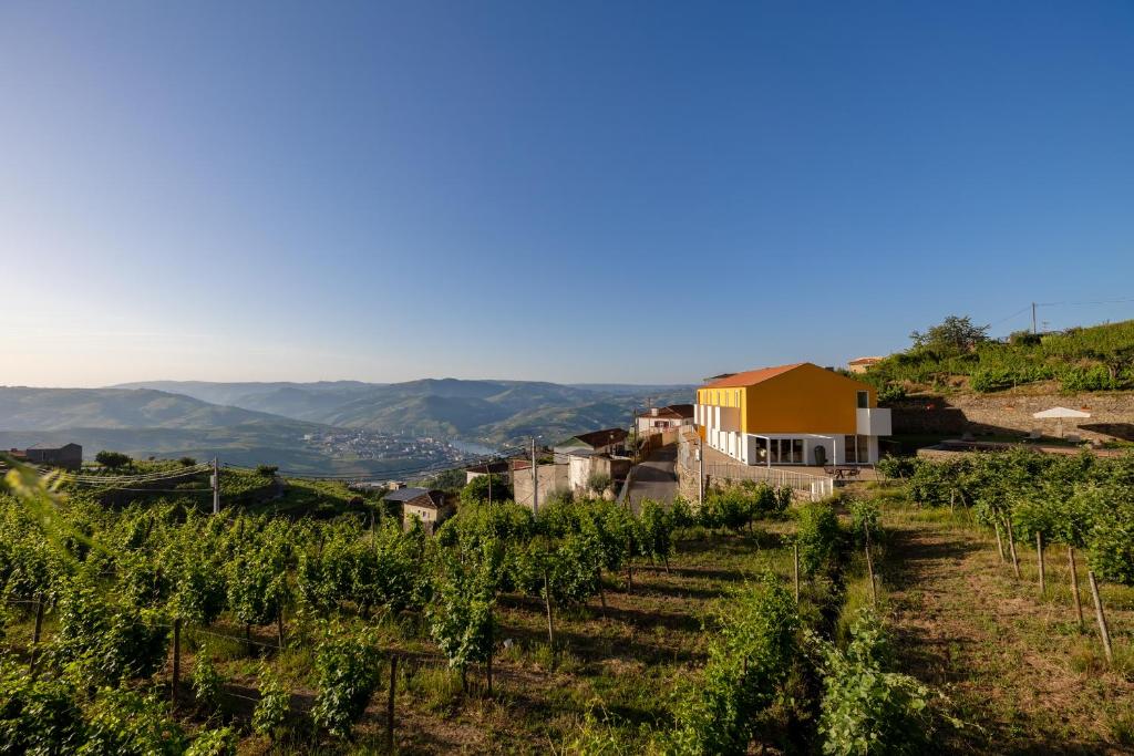 a view of a vineyard with a house on a hill at Casas da Quinta de Santa Cruz - Douro Land in Peso da Régua