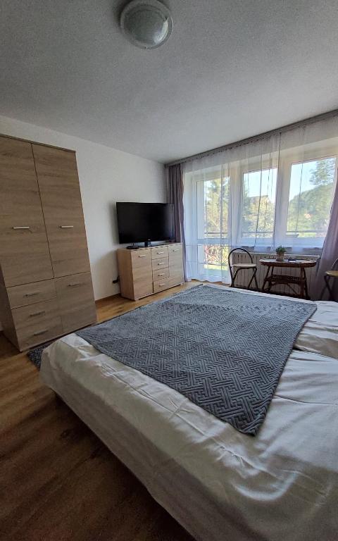 a bedroom with a large bed and a large window at APARTAMENT U MARYSI in Krościenko