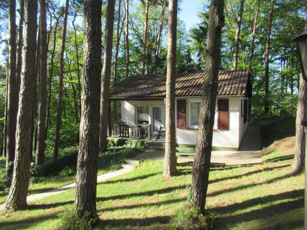 a small white cottage in the woods with trees at Feriendorf Mengshausen 1 in Niederaula