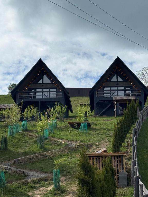two large black buildings in a field with trees at А-фрейм У Ґазди in Synevyrsʼka Polyana