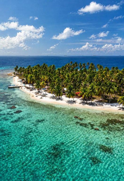 an aerial view of a beach with palm trees and water at Islas de San blas Glamping in Tubusinica
