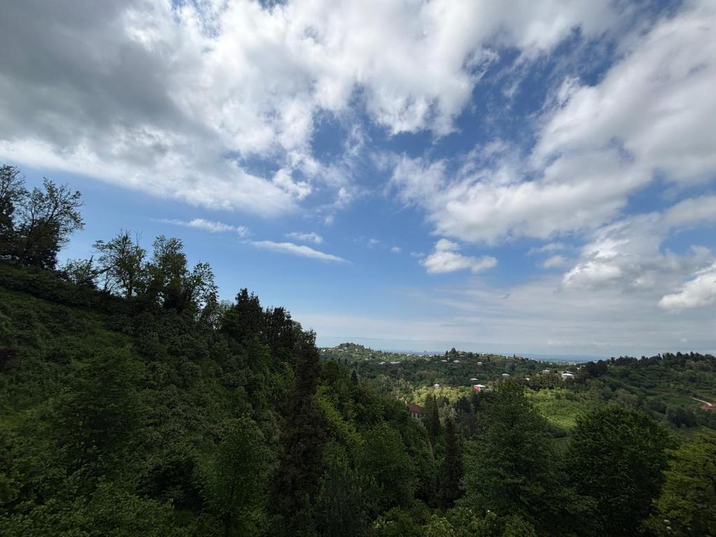a view of a hill with trees and a cloudy sky at Горный коттедж in Kobuleti