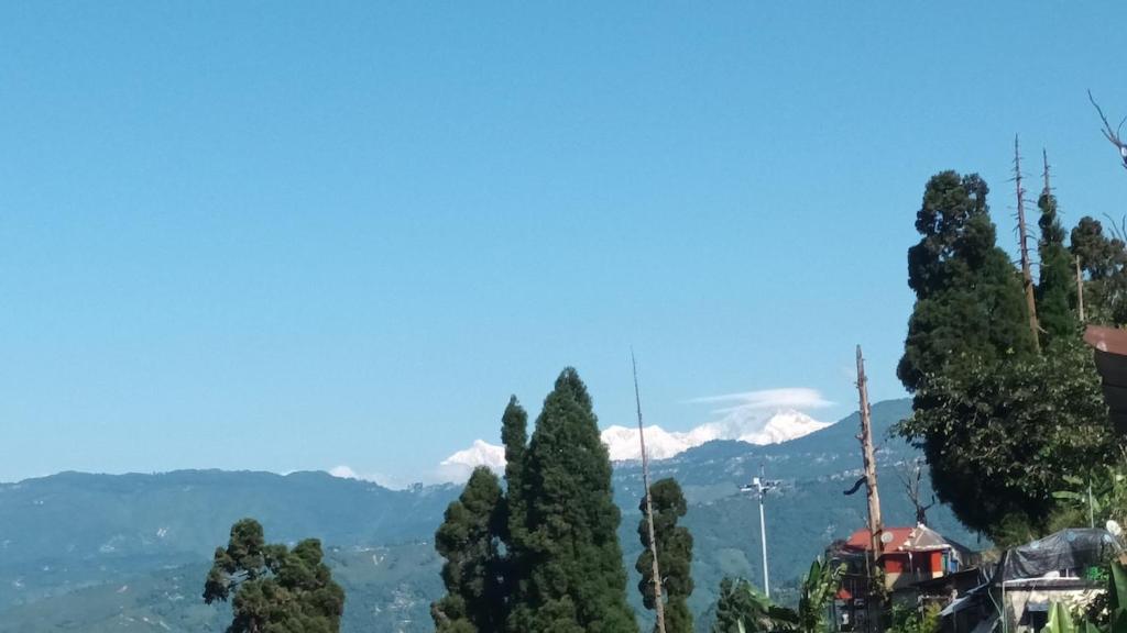 a group of trees with snow capped mountains in the background at Mist N Mountain in Kurseong
