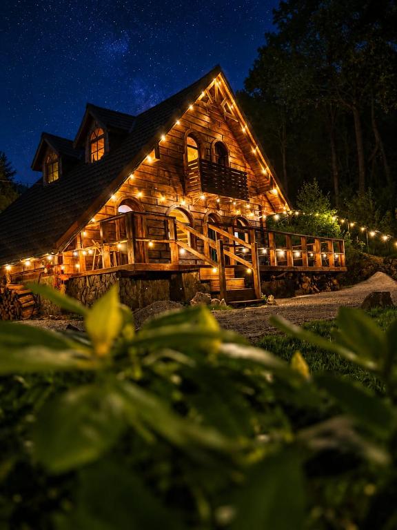 a log cabin lit up at night with lights at Forest Camp Dom w Górach Sowich in Michałkowa