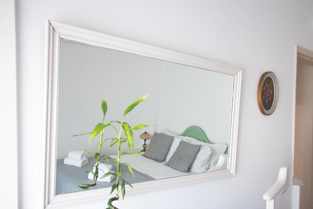 Cozy central apartment in FARO - Fast WIFI