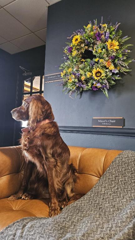 a dog sitting on a couch with flowers on the wall at The Beach Hotel in Mullaghmore