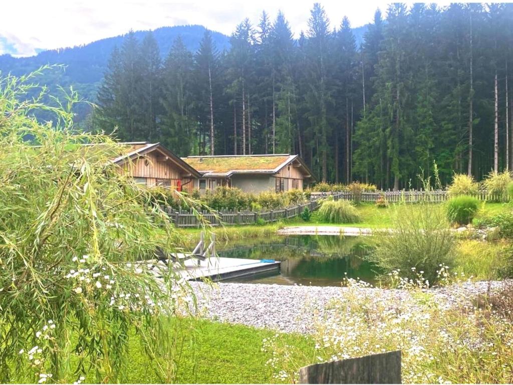a house with a pond in front of a forest at Zattach 57 in Lake Pressegg