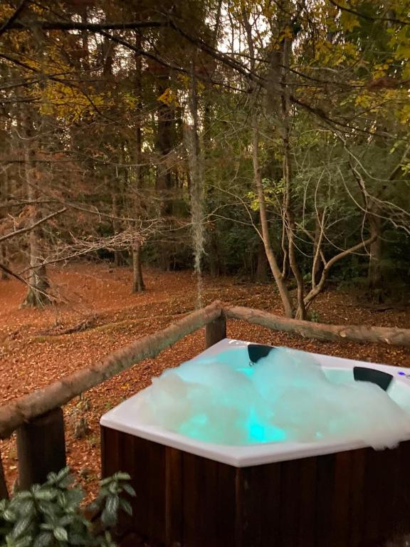 a jacuzzi tub in the woods with trees at Cabaña La Mechita con jacuzzi privado in Estación Delta