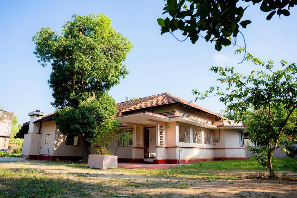 a house with a tree in front of it at Naga Vasa in Jaffna