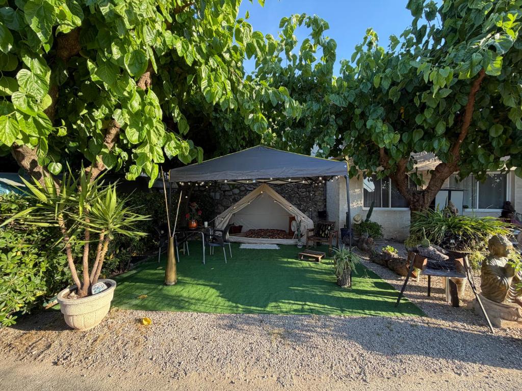a tent in the middle of a yard with trees at La Somavan Tambu in Xàtiva