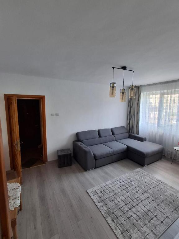 a living room with a couch and a rug at Apartament ALEX-LUXURY in Târgu Ocna