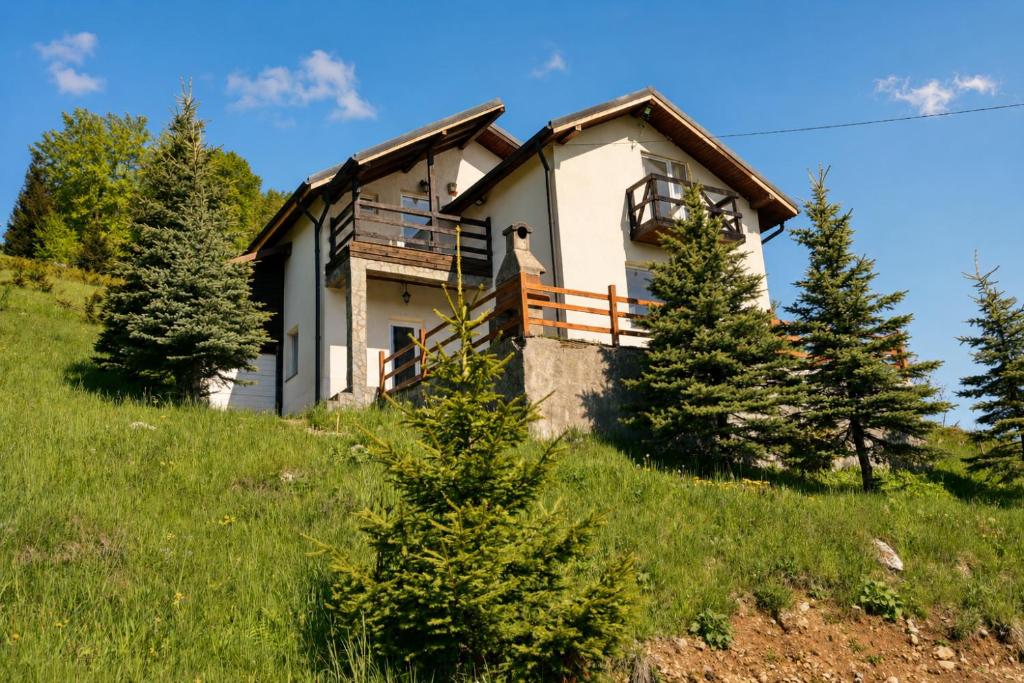 a house on top of a hill with trees at La Poalele Cerului in Fundata