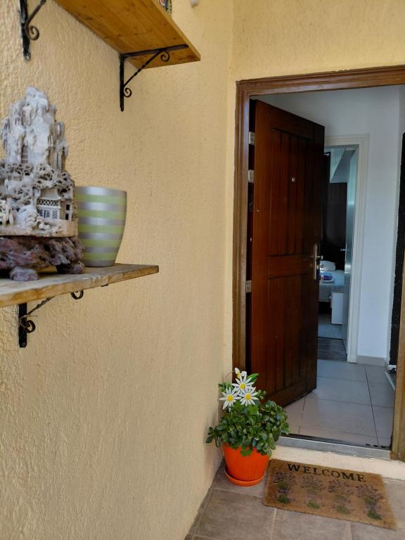 a door to a room with a plant on a shelf at Agica apartment in Škaljari