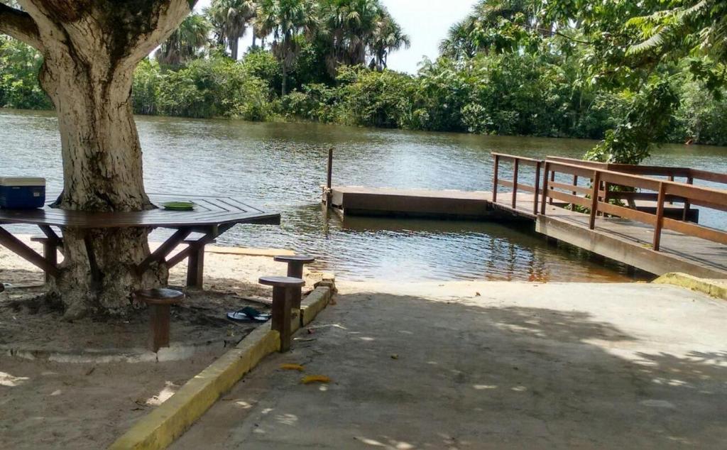 a picnic table next to a tree next to a lake at chalé portal das dunas in Barreirinhas