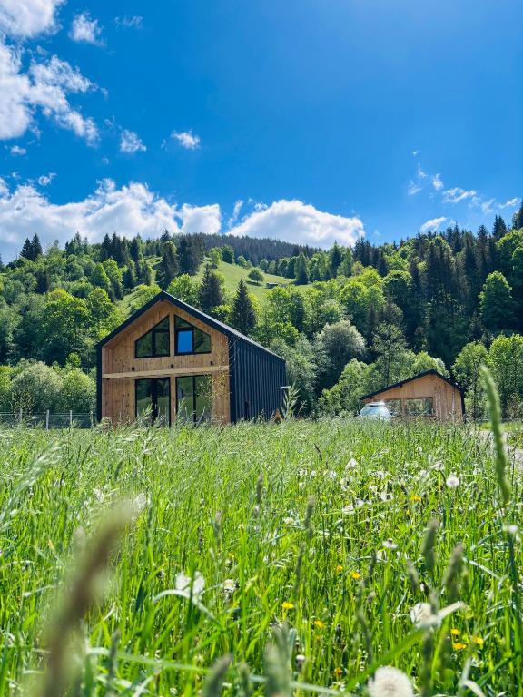 a house in the middle of a field of grass at The Black Barn in Frumosu