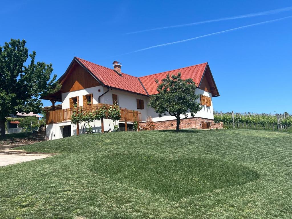 a house on top of a large grass field at Iža na brejgi in Moravske-Toplice
