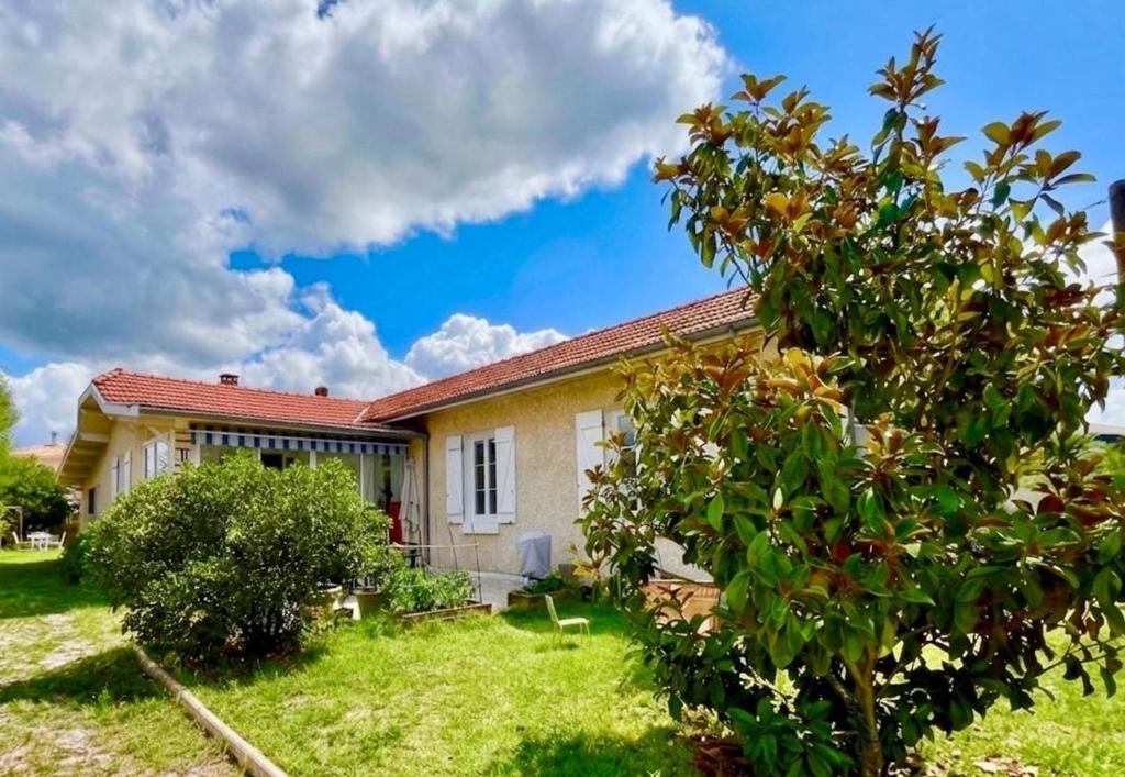 a house with a green yard with a tree at House with large garden Audenge in Audenge