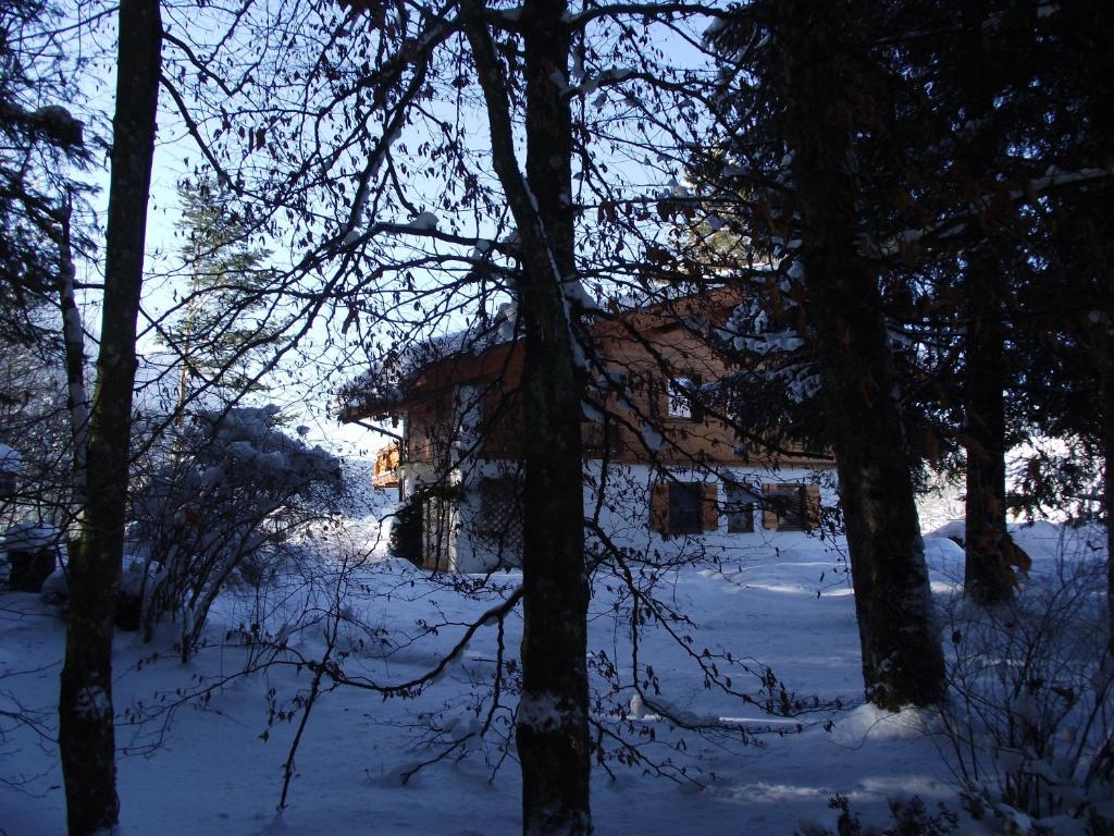 Ferienwohnung am Römerweg Wald v zimě