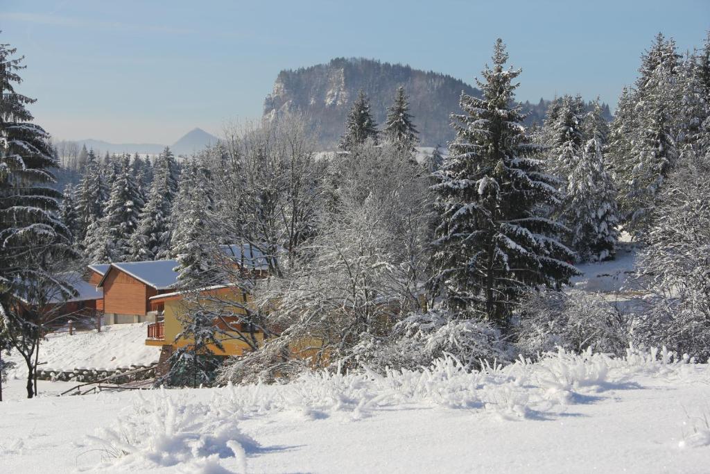 a house is covered in snow in a forest at Holiday Park Orava - Hotel Orava in Dolný Kubín