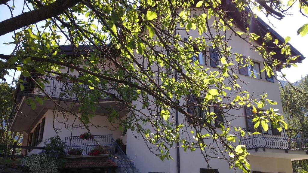 Budova, kde se bed and breakfast nachází
