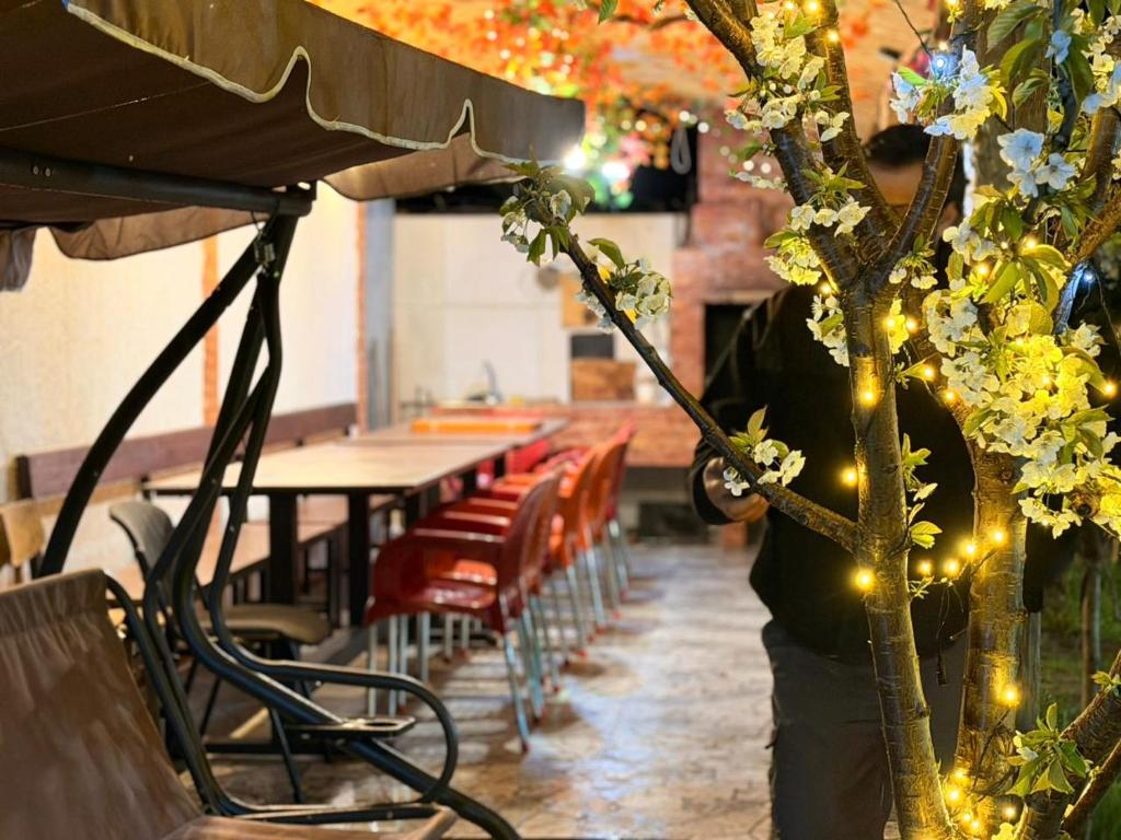 a person standing in a room with a tree with lights at The Saguramo House in Saguramo