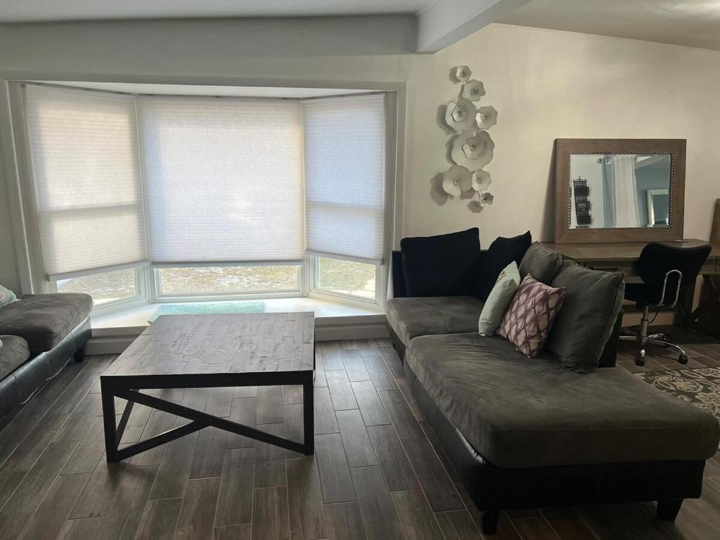 a living room with a couch and a coffee table at Artsy Oasis in Clearwater in Clearwater