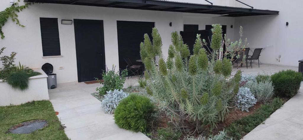 ein Garten mit Pflanzen vor einem Gebäude in der Unterkunft מנות בטבע in Manot