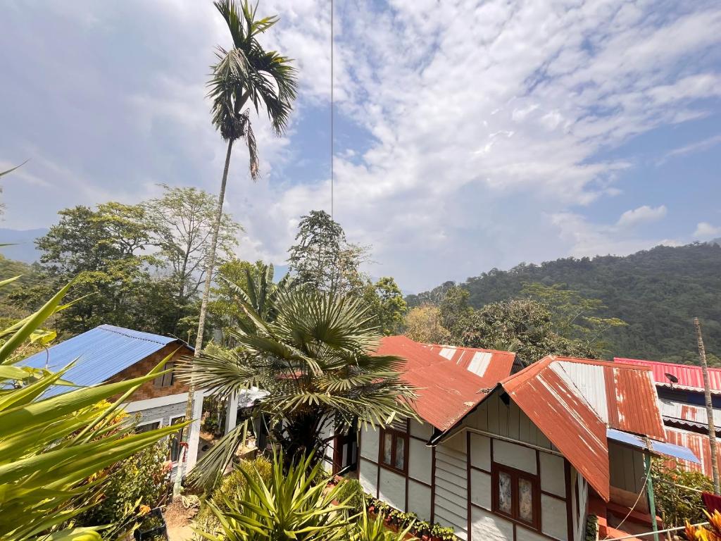 a building with a palm tree in front of a mountain at Live in Nature in Darjeeling