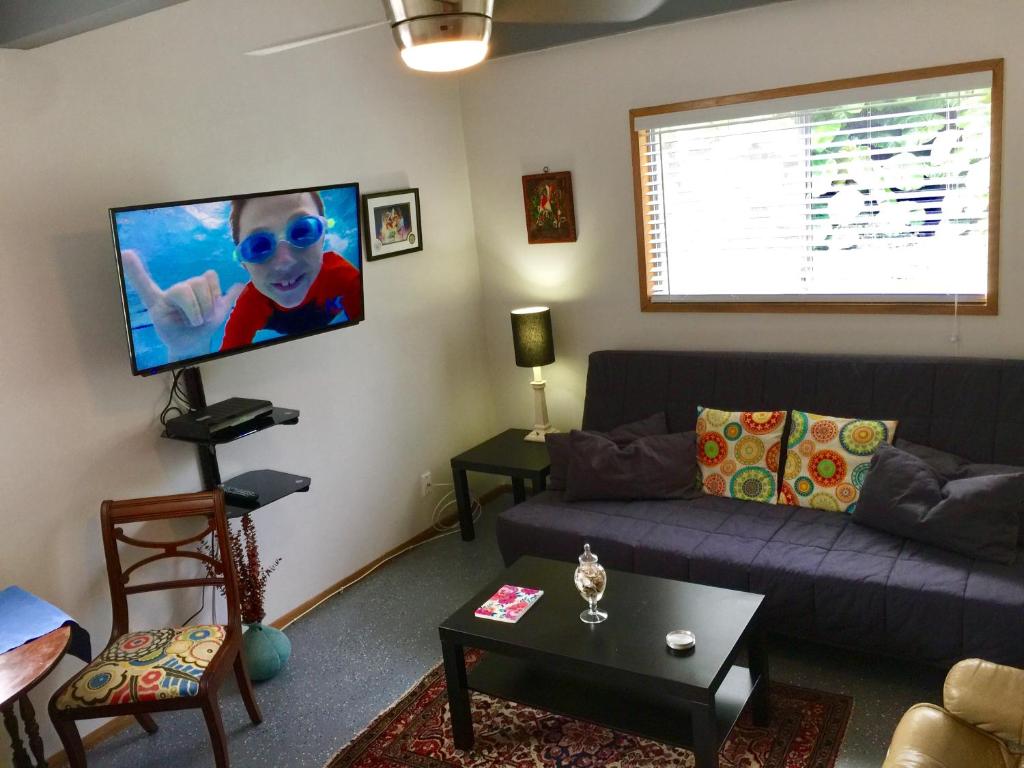 a living room with a couch and a flat screen tv at Hale “Hā Hā” in Pahoa