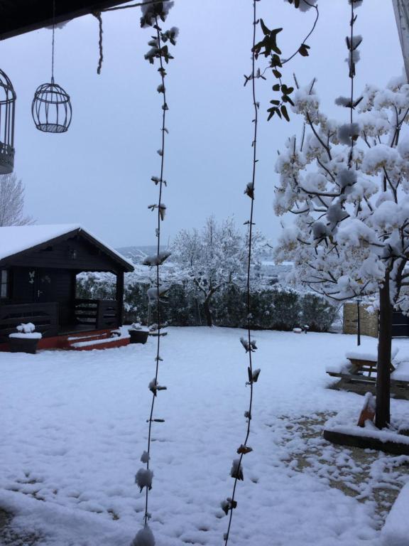 Casa Rural Las Bodegas - 14