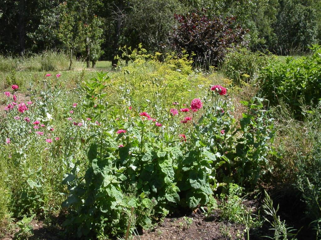 Giardino di Gite Deux-Eaux