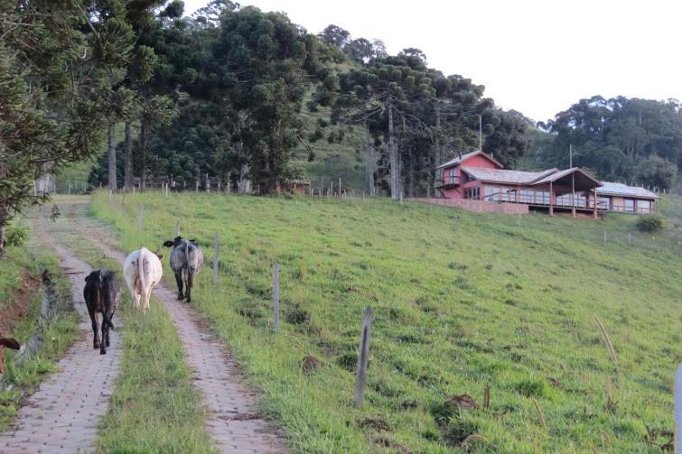  Sítio Vista do Baú
