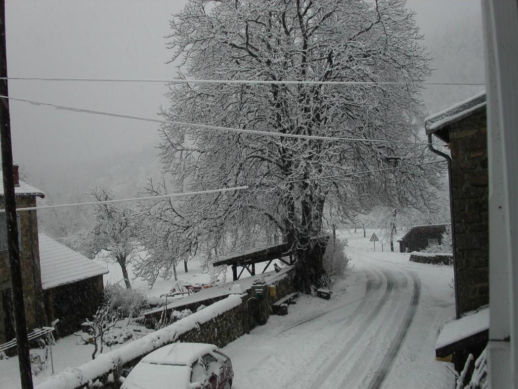 een met sneeuw bedekte weg met een boom en een huis bij Gite Deux-Eaux in Saint-Martial