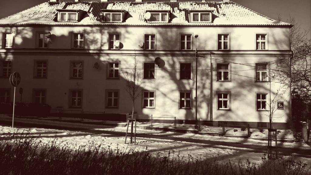 Zorza Polarna - Housity