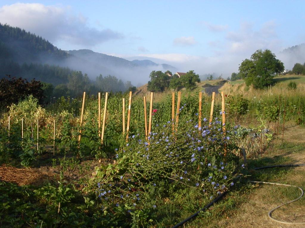 Paesaggio naturale nelle vicinanze of country house