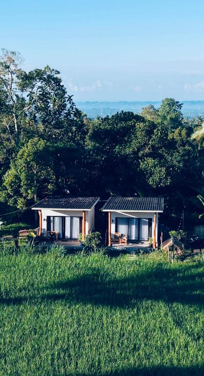 a house in the middle of a field of grass at Tropical Aurora Tetebatu in Tetebatu