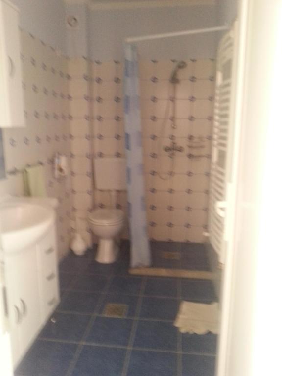 Koupelna v ubytování Marinica Apartman