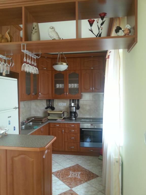 Kuchyň nebo kuchyňský kout v ubytování Marinica Apartman