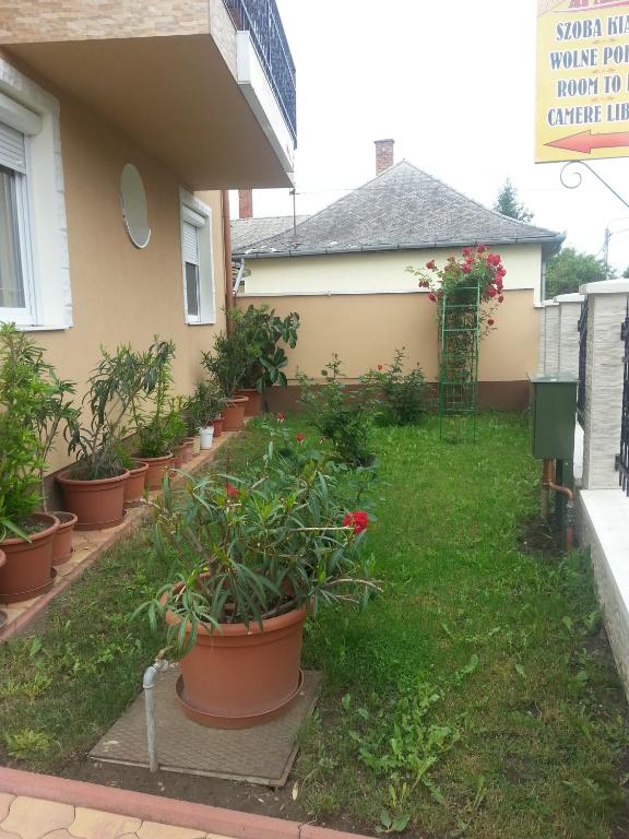 Zahrada ubytování Marinica Apartman
