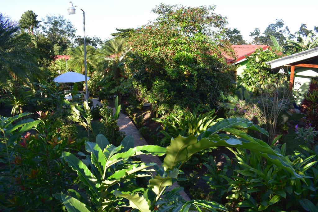 フォルトゥナにあるHotel Roca Negra Del Arenalの緑豊かな植物と木々が茂る庭園