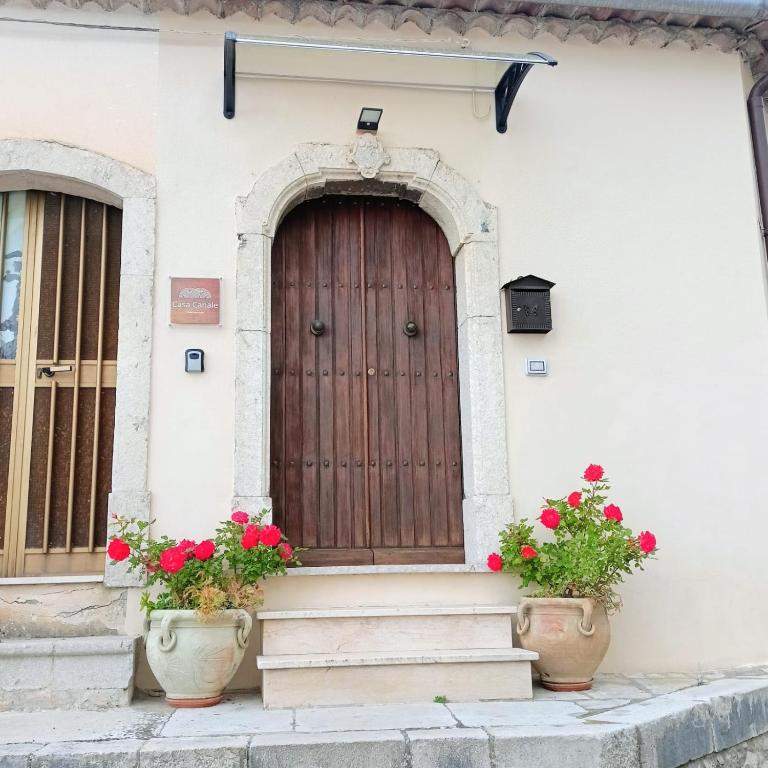 a wooden door on a house with two pots of flowers at Casa Canale in Gesualdo