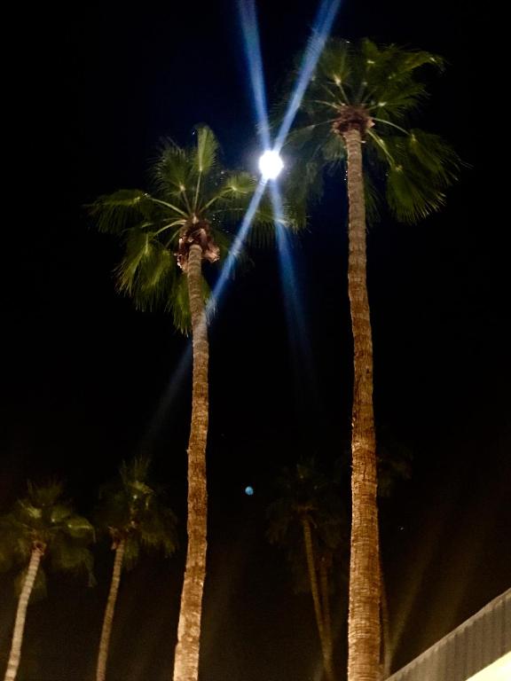 Fotografie z fotogalerie ubytování Delos Reyes Palm Springs v destinaci Palm Springs