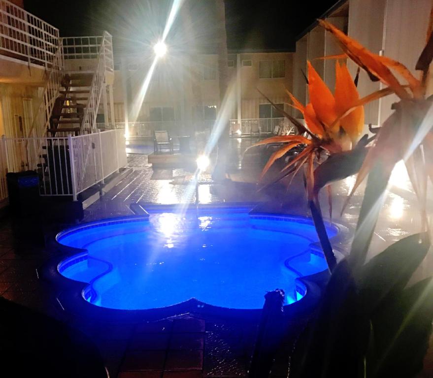 Bazén v ubytování Delos Reyes Palm Springs nebo v jeho okolí