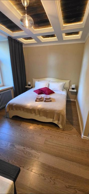a bedroom with a bed with white sheets and red pillows at Dundagas rezidence in Dundaga
