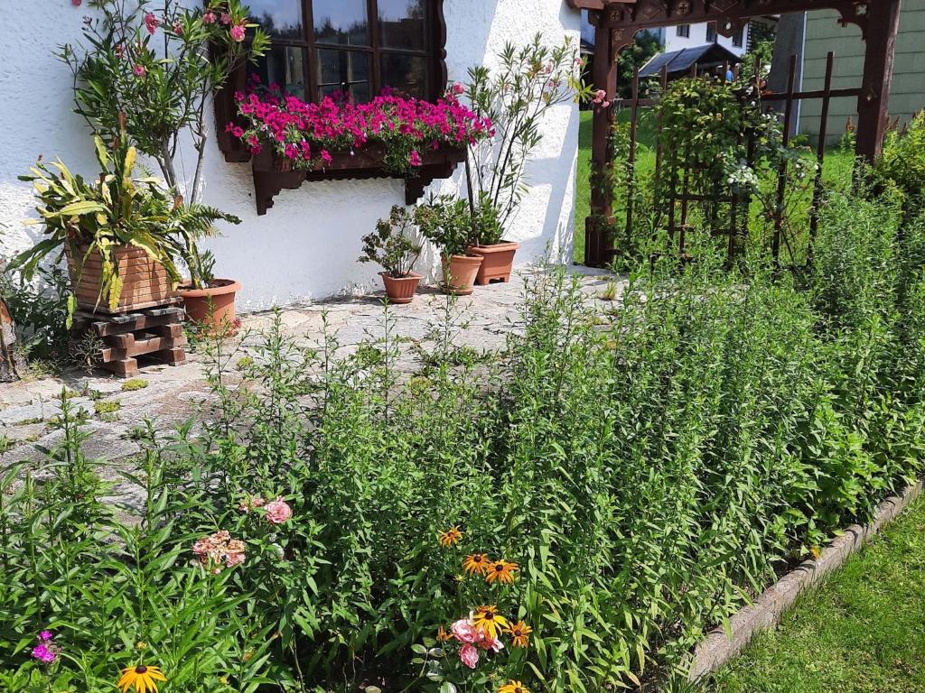 a garden with flowers and plants in front of a house at Ferienwohnung Mutzenbauer in Bad Endorf
